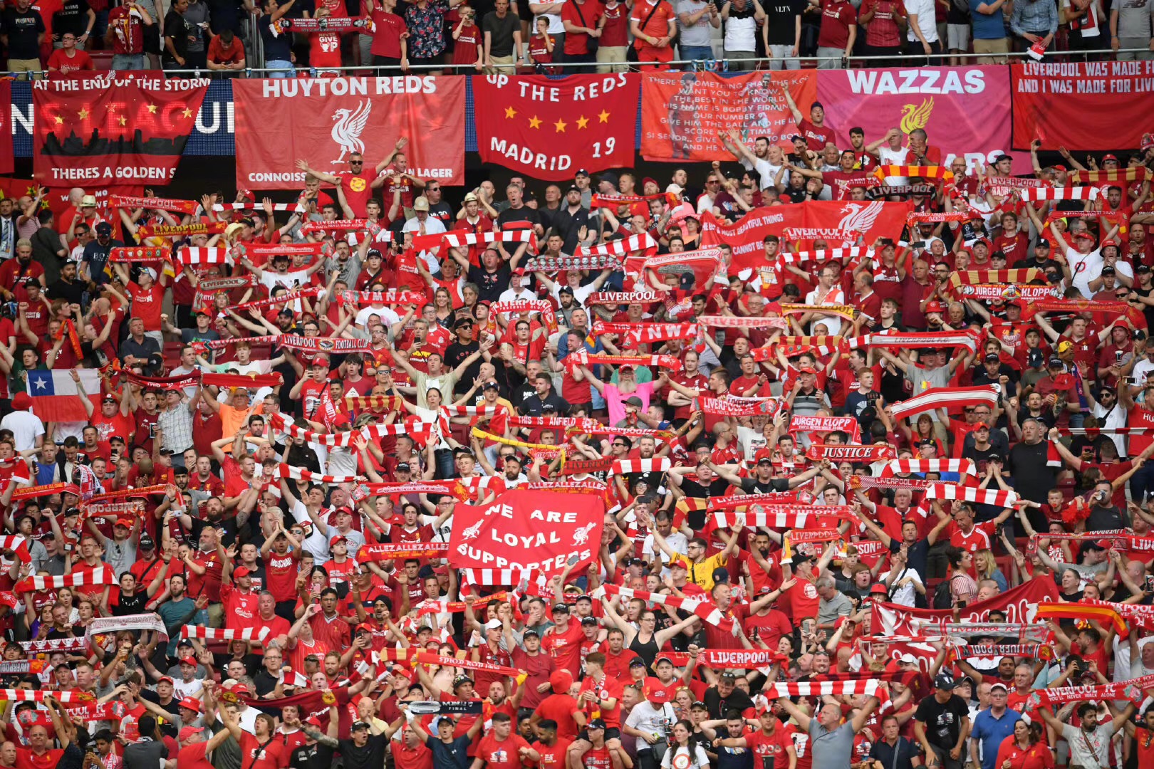 的前场组合 的前场组合